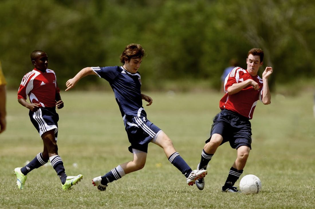 七博网站入口 · 赛场氛围（资料示意）